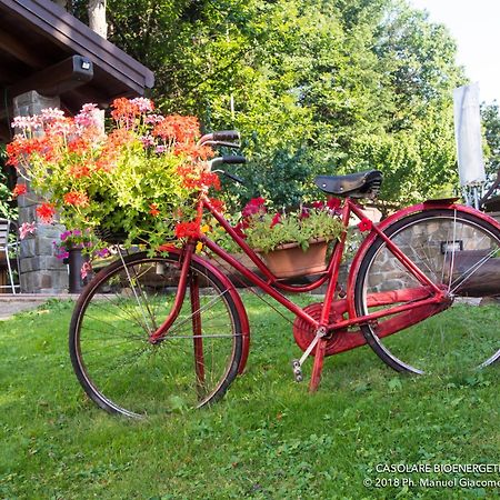 Il Casolare Bioenergetico Bed & Breakfast Albareto  Bagian luar foto