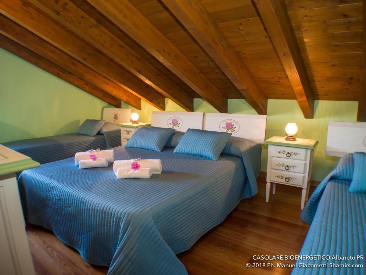 Il Casolare Bioenergetico Bed & Breakfast Albareto  Bagian luar foto