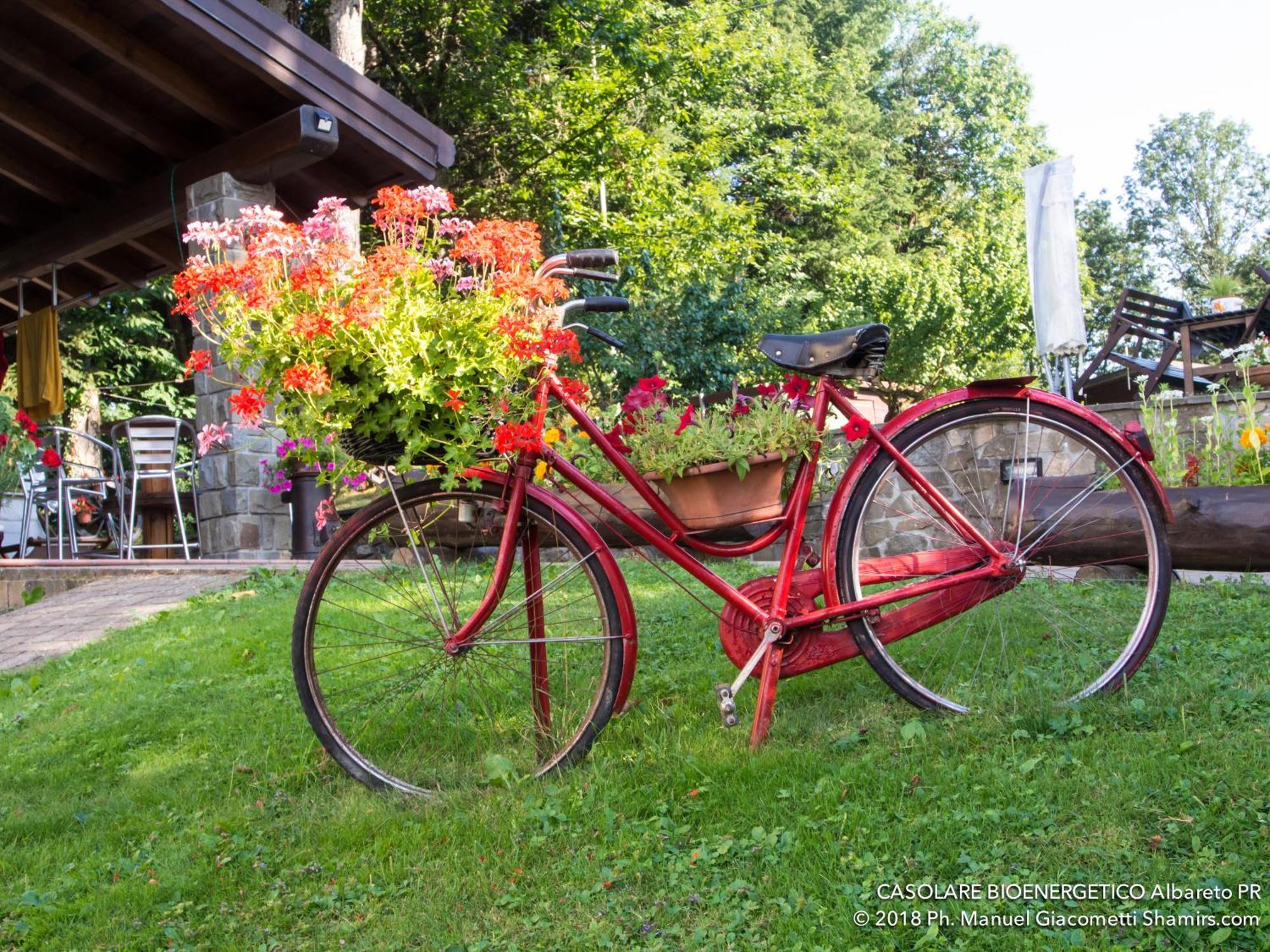 Il Casolare Bioenergetico Bed & Breakfast Albareto  Bagian luar foto