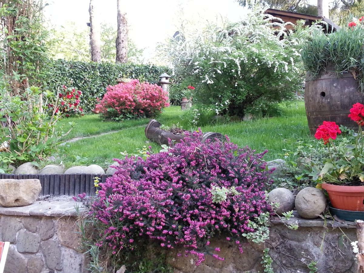 Il Casolare Bioenergetico Bed & Breakfast Albareto  Bagian luar foto