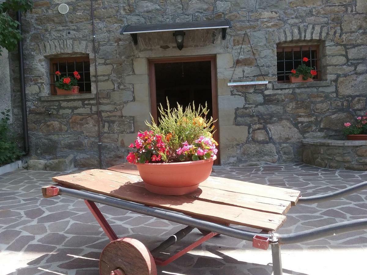 Il Casolare Bioenergetico Bed & Breakfast Albareto  Bagian luar foto